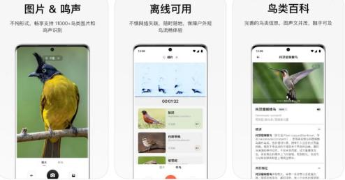小众App的ASO破局：从“怕窄怕泛”到“分层递进”